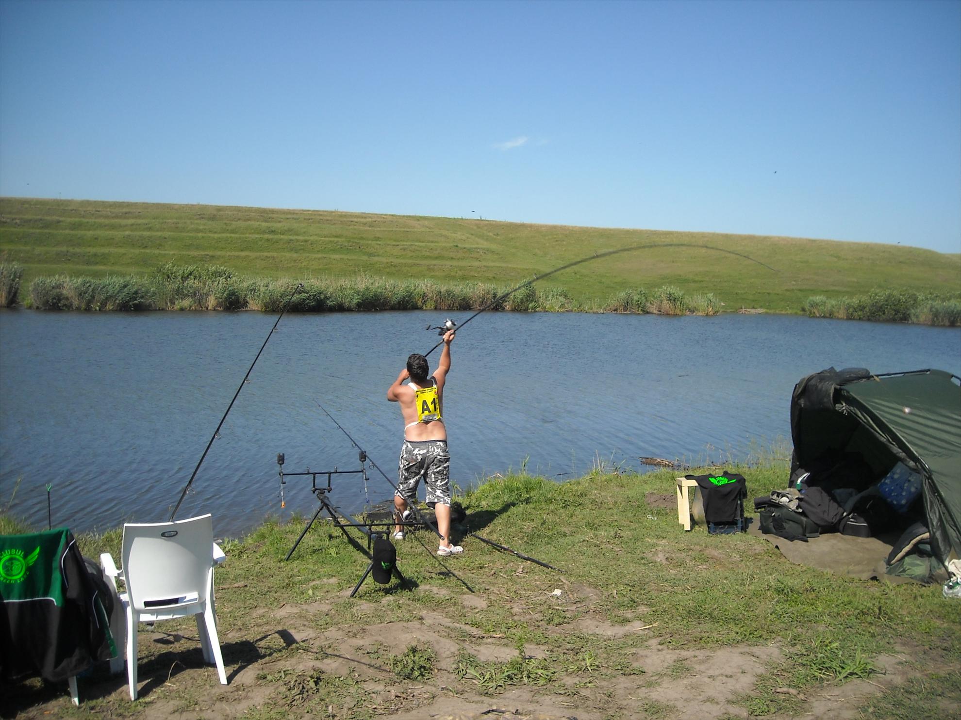 CN-2010-Chiroiu - dscn45631.jpg